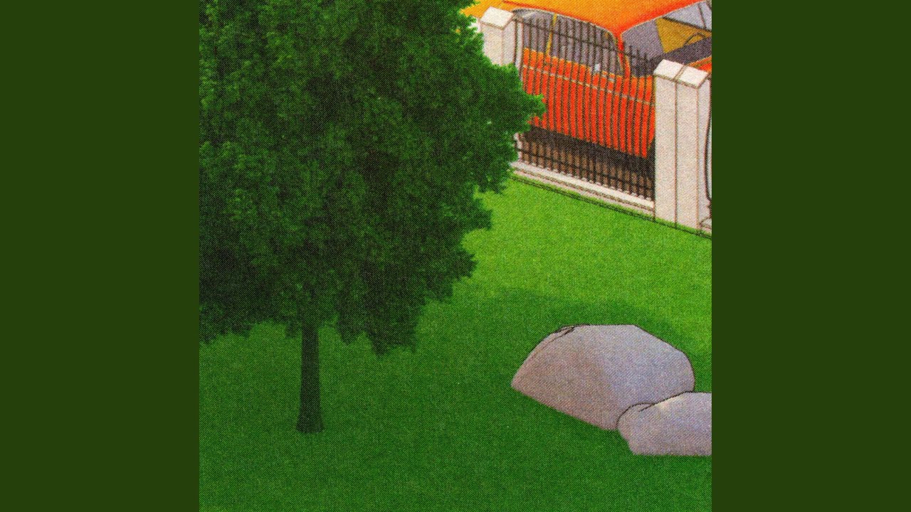 Debris
