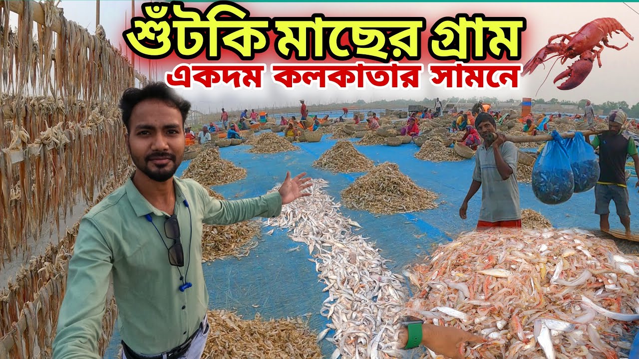শুটকি মাছের গ্রাম | Lalganj Fish Market | lalganj sea beach | Sutki Mach | Bakkhali