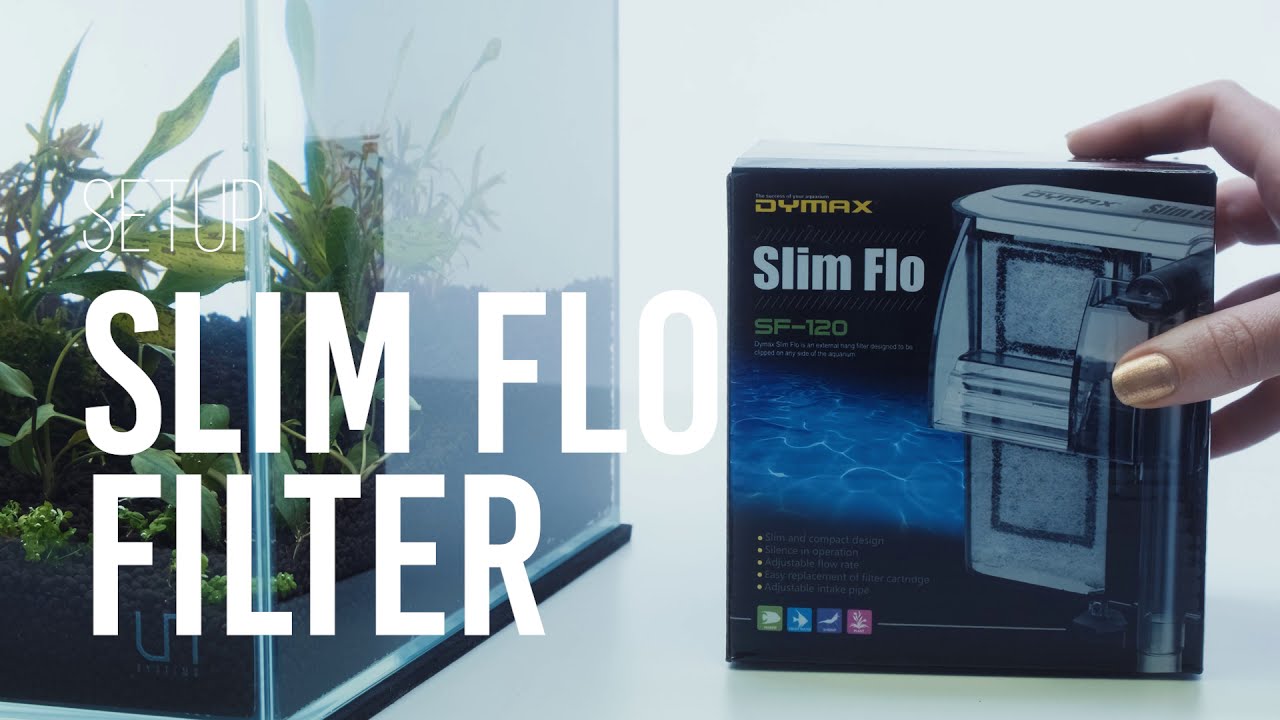 The Best Nano HOB Aquarium Filter: Dymax Slim Flo (Easy Setup)