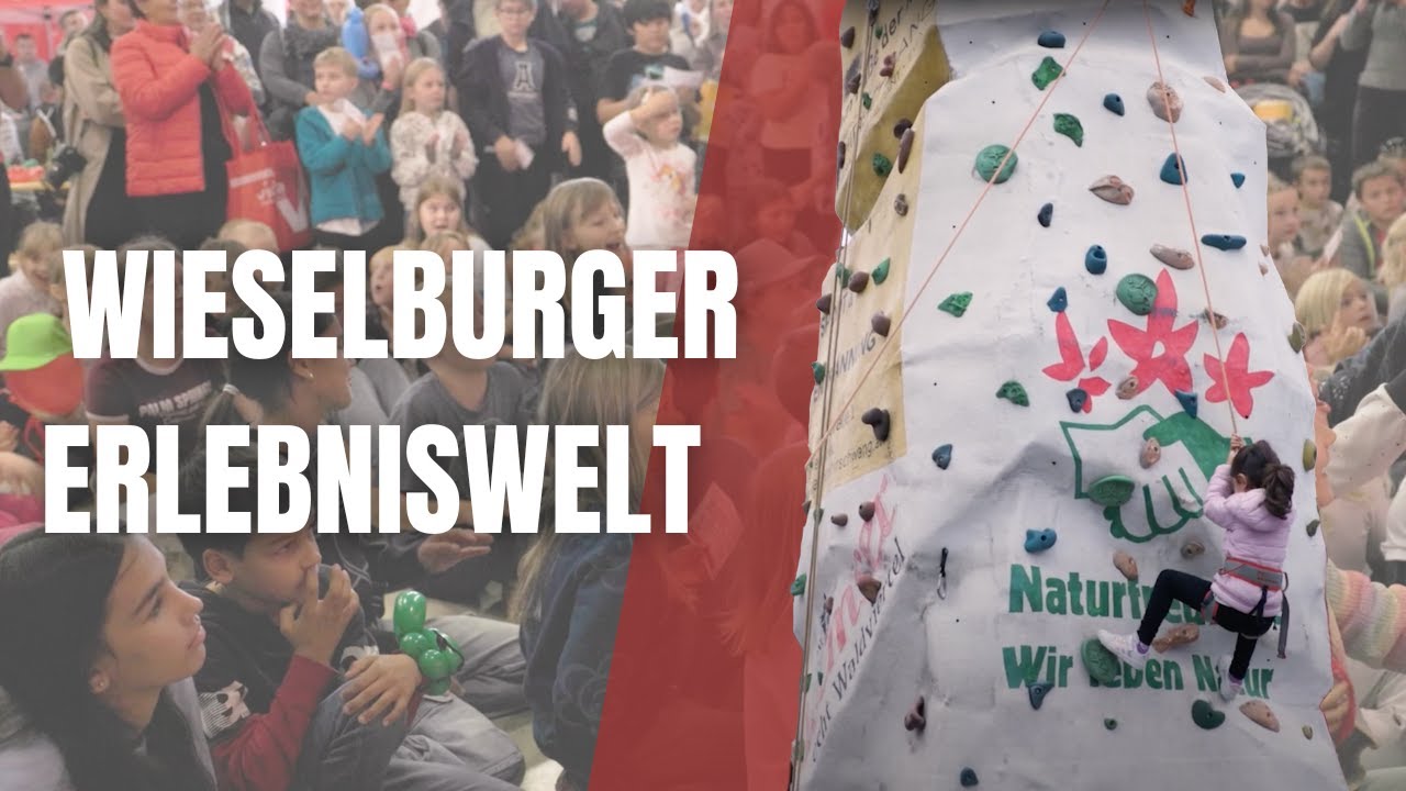 Familienfest der AK Nieder&ouml;sterreich: Spa&szlig; & Action in Wieselburg 2025