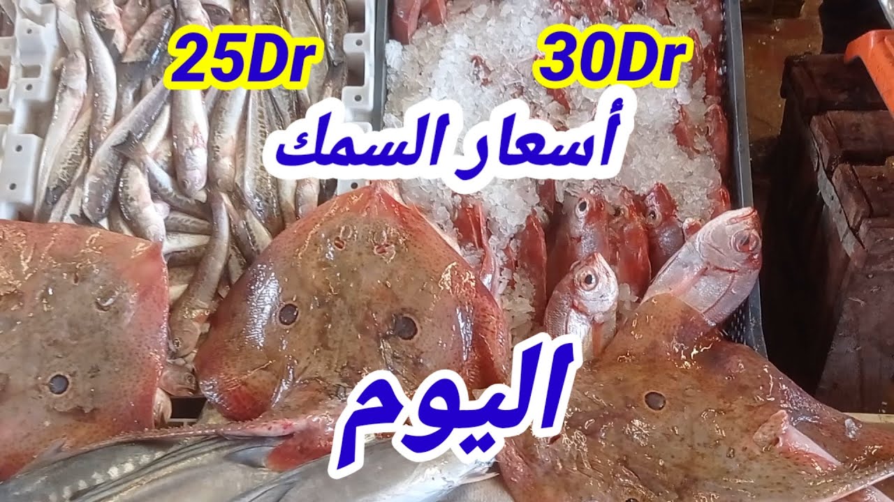 أسعار السمك اليوم في عين عودة #ثمنFish Prices Today in Ain Ouda - March 30, 2025 #suq #travel#foodi