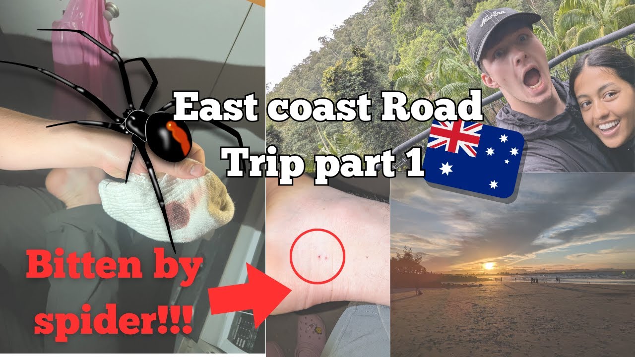 Bitten by Spider in Australian Bush! (Road trip part 1)