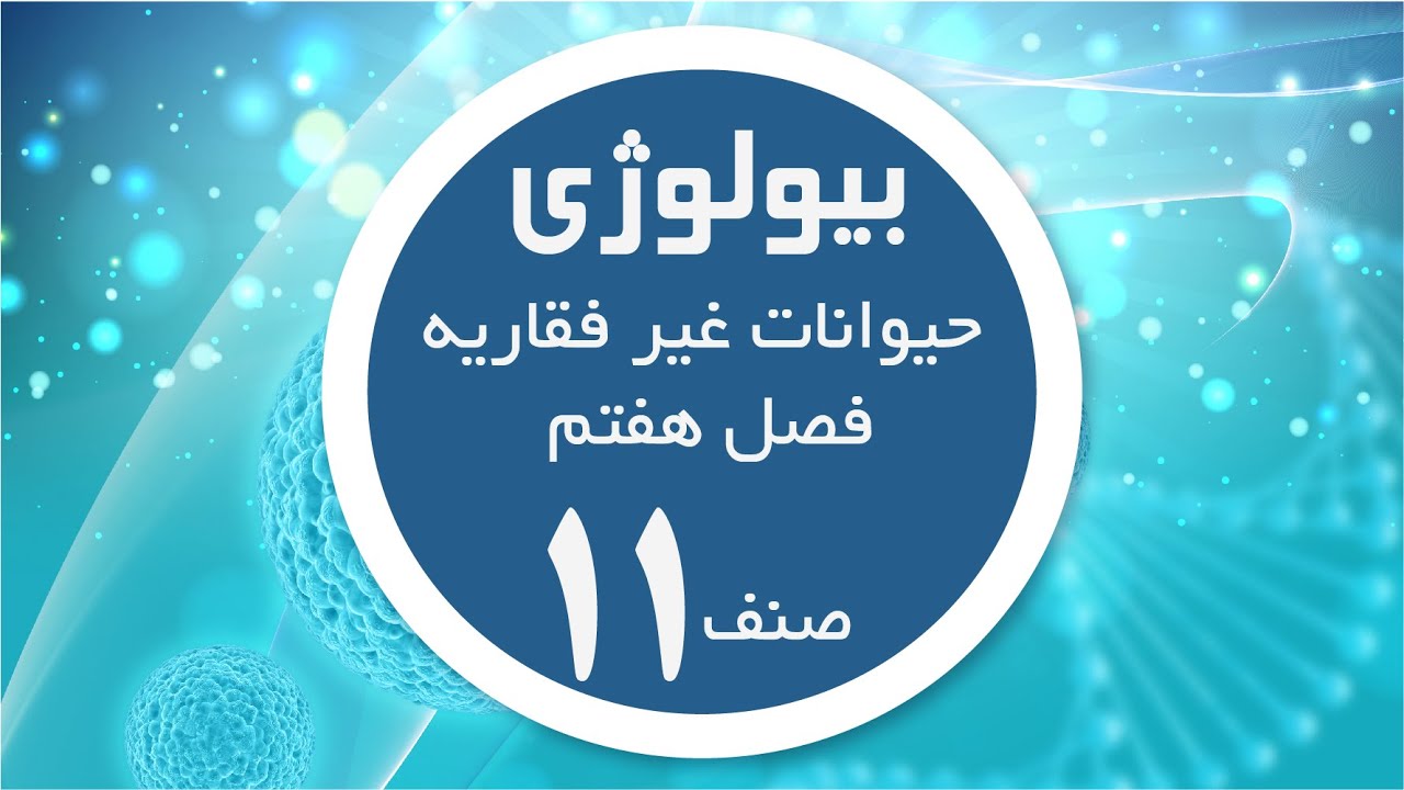 بیولوژی صنف 11 | حیوانات غیر فقاریه؛ فصل هفتم