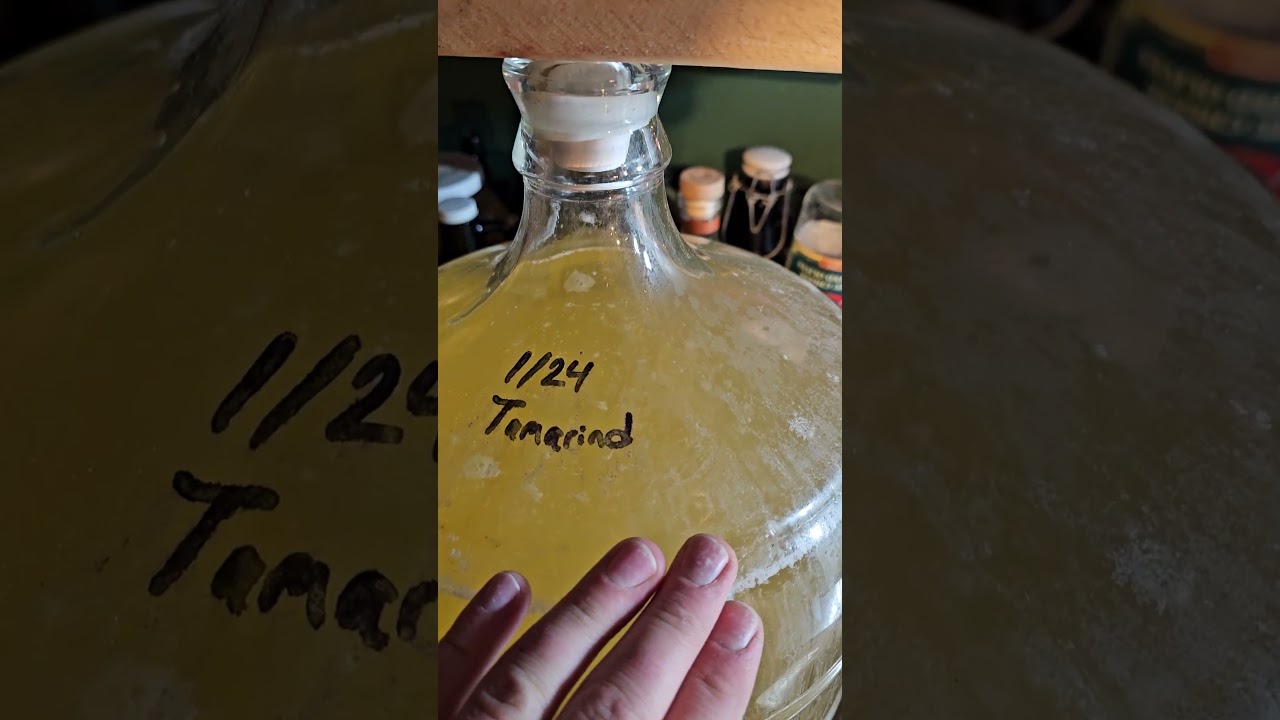 Hey There Tappers! Come check out what's new in the brew house #hardcider #homebrew
