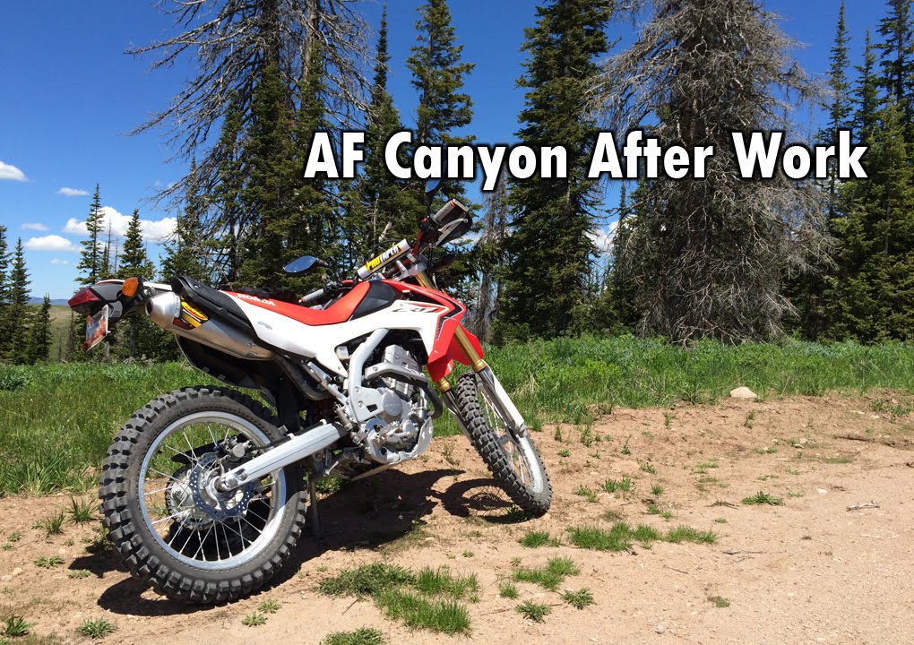 Utah Dual Sport - A squid's intro to singletrack (++crash!)
