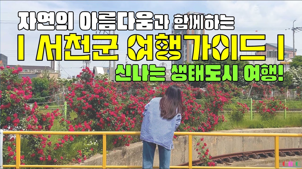 🌄 자연의 아름다움과 함께하는 신나는 생태도시 여행! | 서천군 여행가이드 🌳