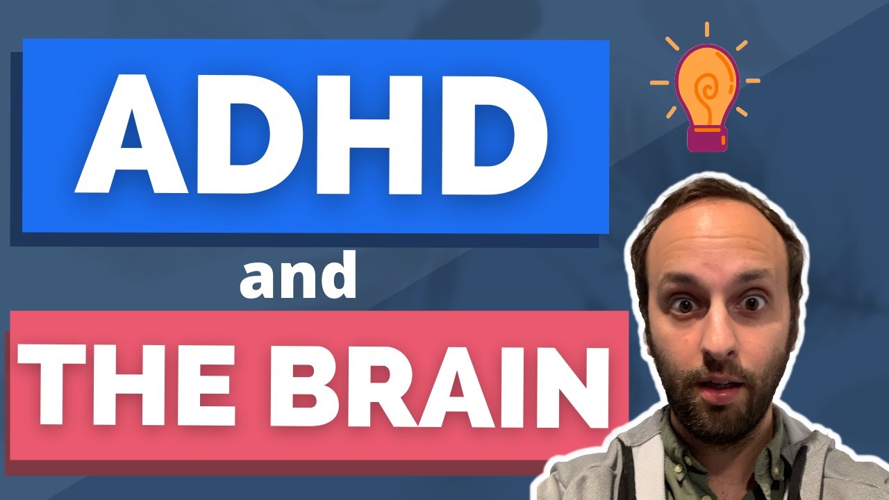 ADHD and the Brain: How You Can Help