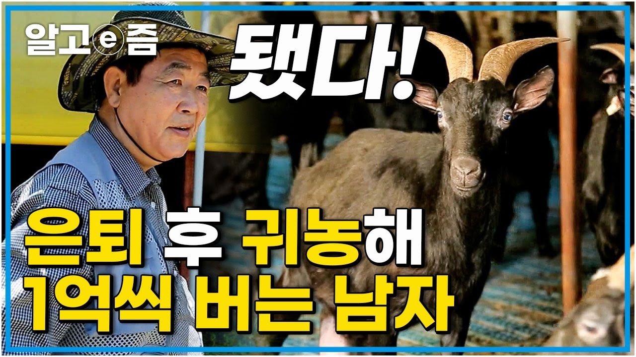 흑염소에 인생을 건 남자! 은퇴하고 바로 섬으로 들어가 연봉 1억씩 벌어가는 귀농 부부 │미스터리 휴먼다큐 그 사람│알고e즘