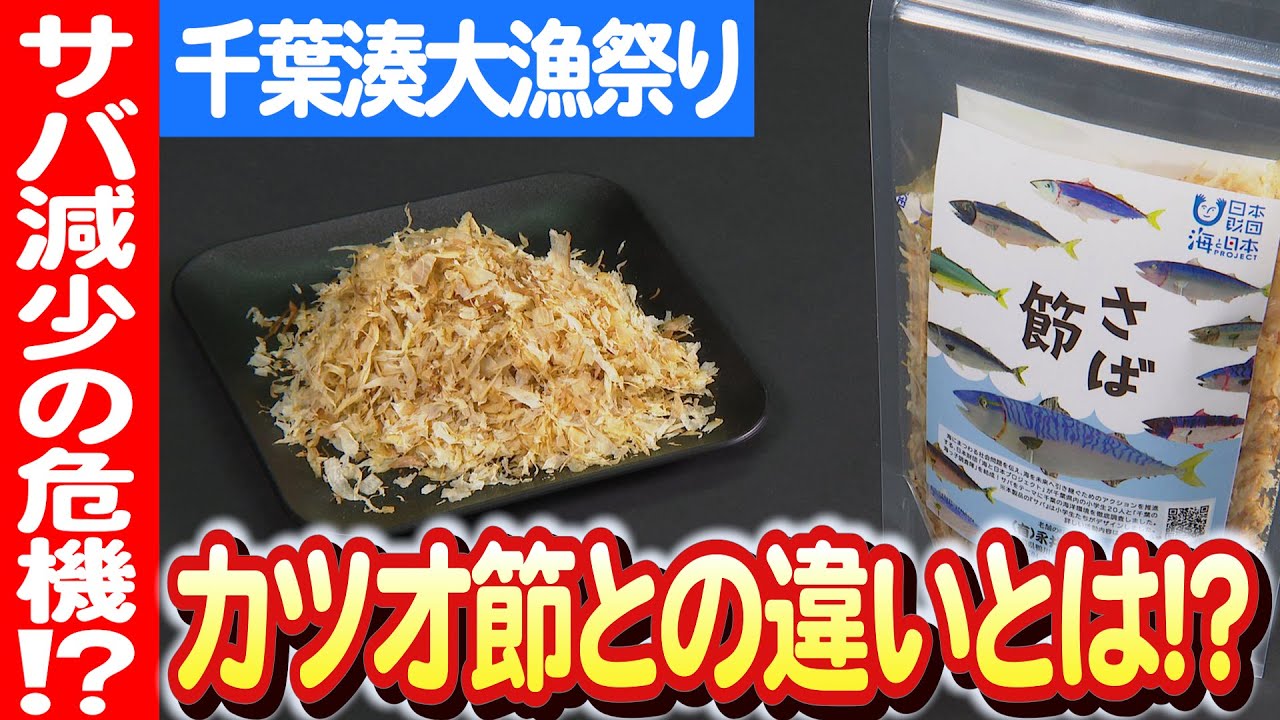 【サバの未来を考える 】千葉湊大漁まつりで子どもたちがさば節作りに挑戦 日本財団 海と日本PROJECT in 千葉県 2023 #021
