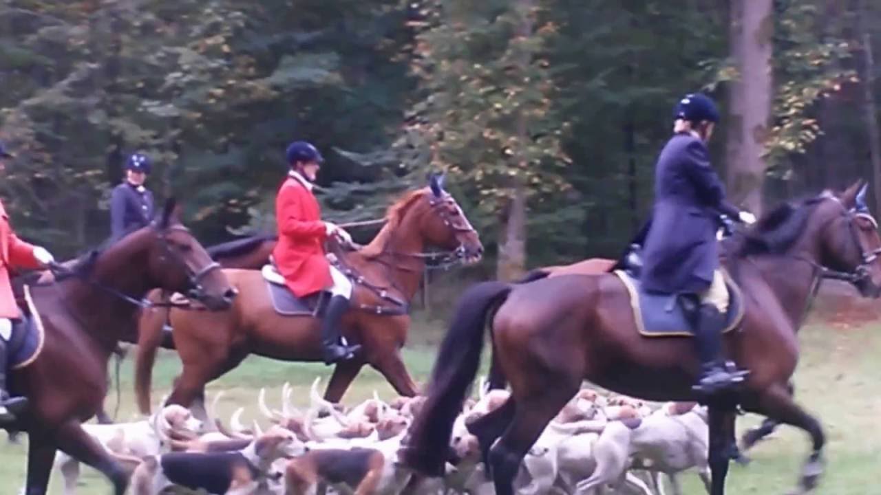 59. Schleppjagd auf Herrenchiemsee des Schleppjadvereins von Bayern e.V.