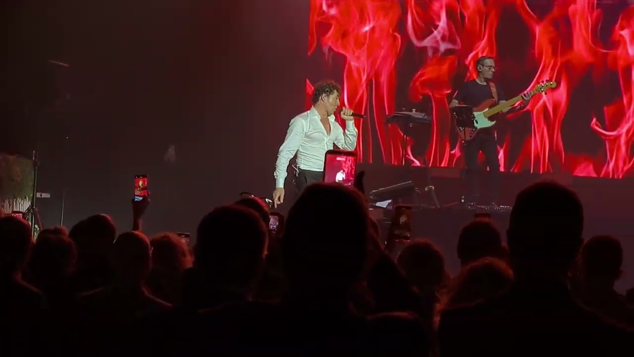 David Bisbal en Concierto