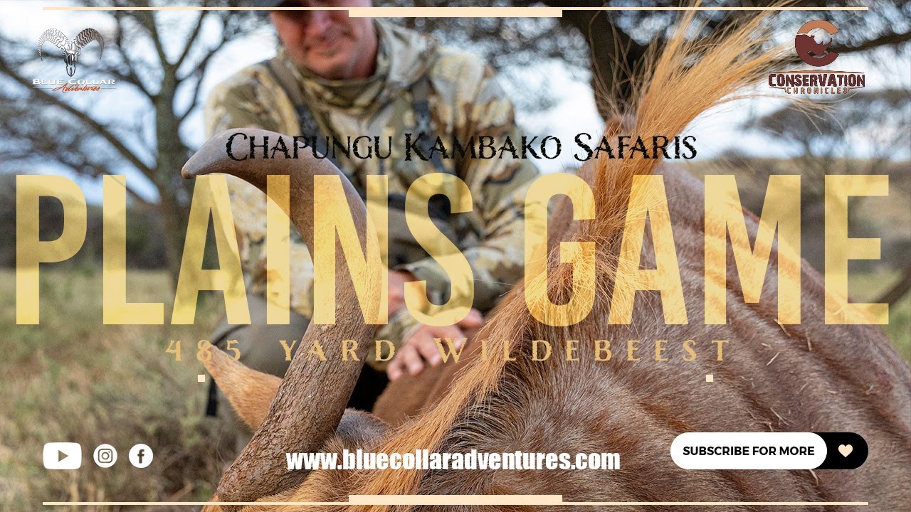Plains Game Adventure in the Northern Cape