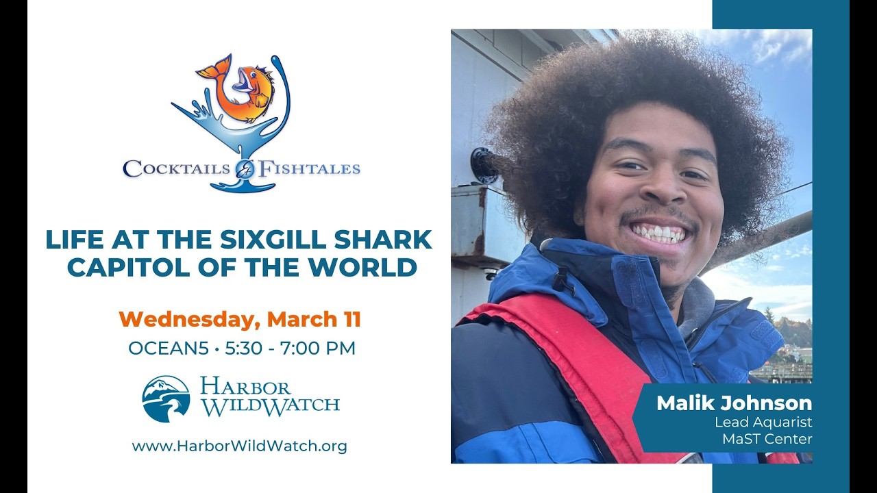 Cocktails & Fishtales - Life in the Sixgill Shark Capitol of the World with Malik Johnson
