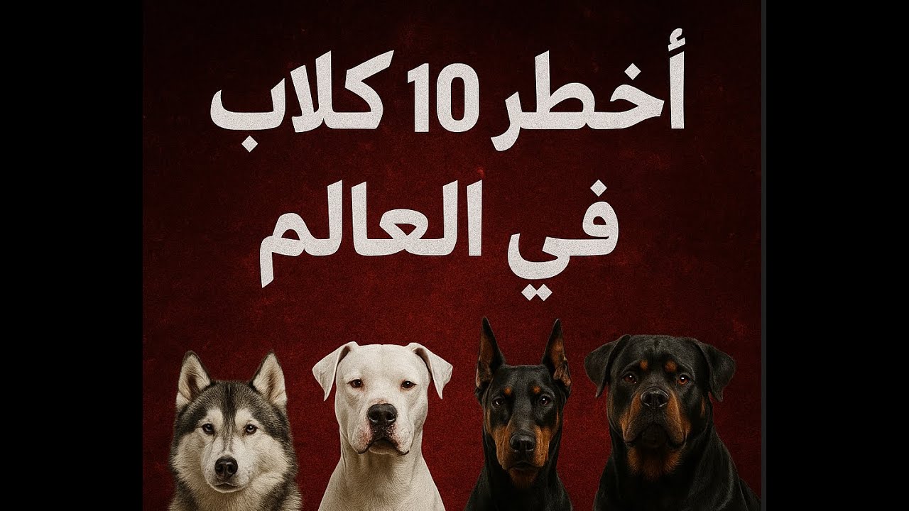 أخطر 10 كلاب في العالم