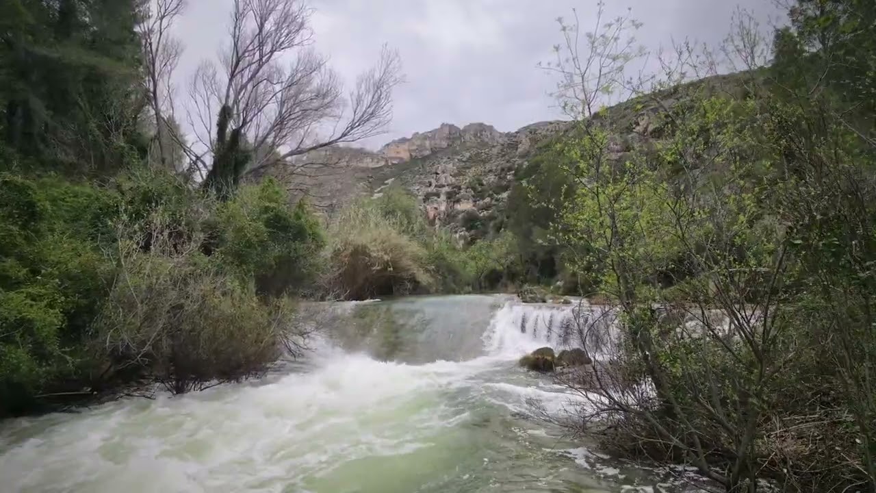Paseo por el Río 😍
