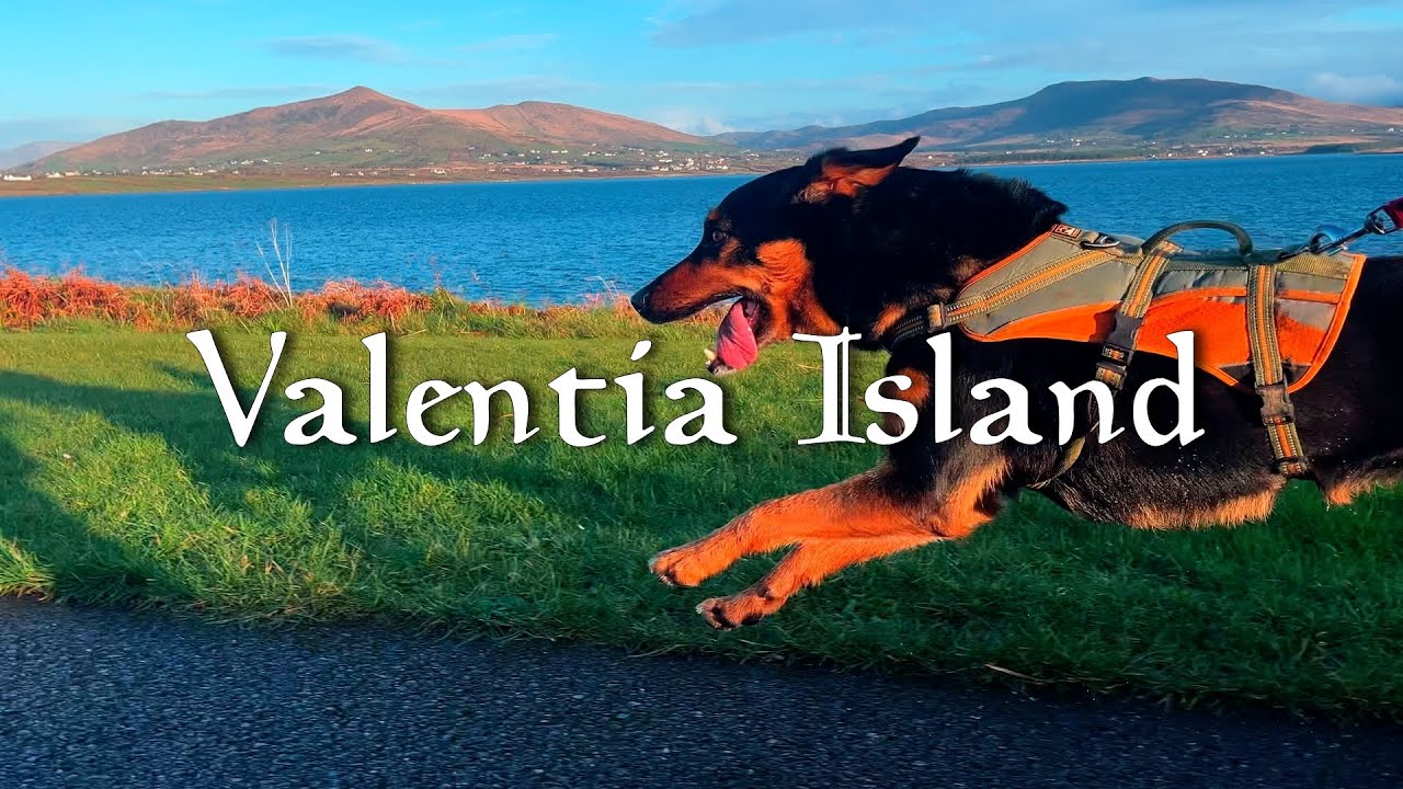 Skating along the Wild Atlantic Coast of Ireland with a Dog