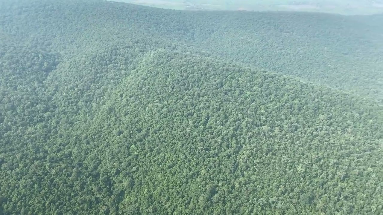 Beautiful Telengana 🥰. Indian 🇮🇳 state has increased its green cover with 3%.