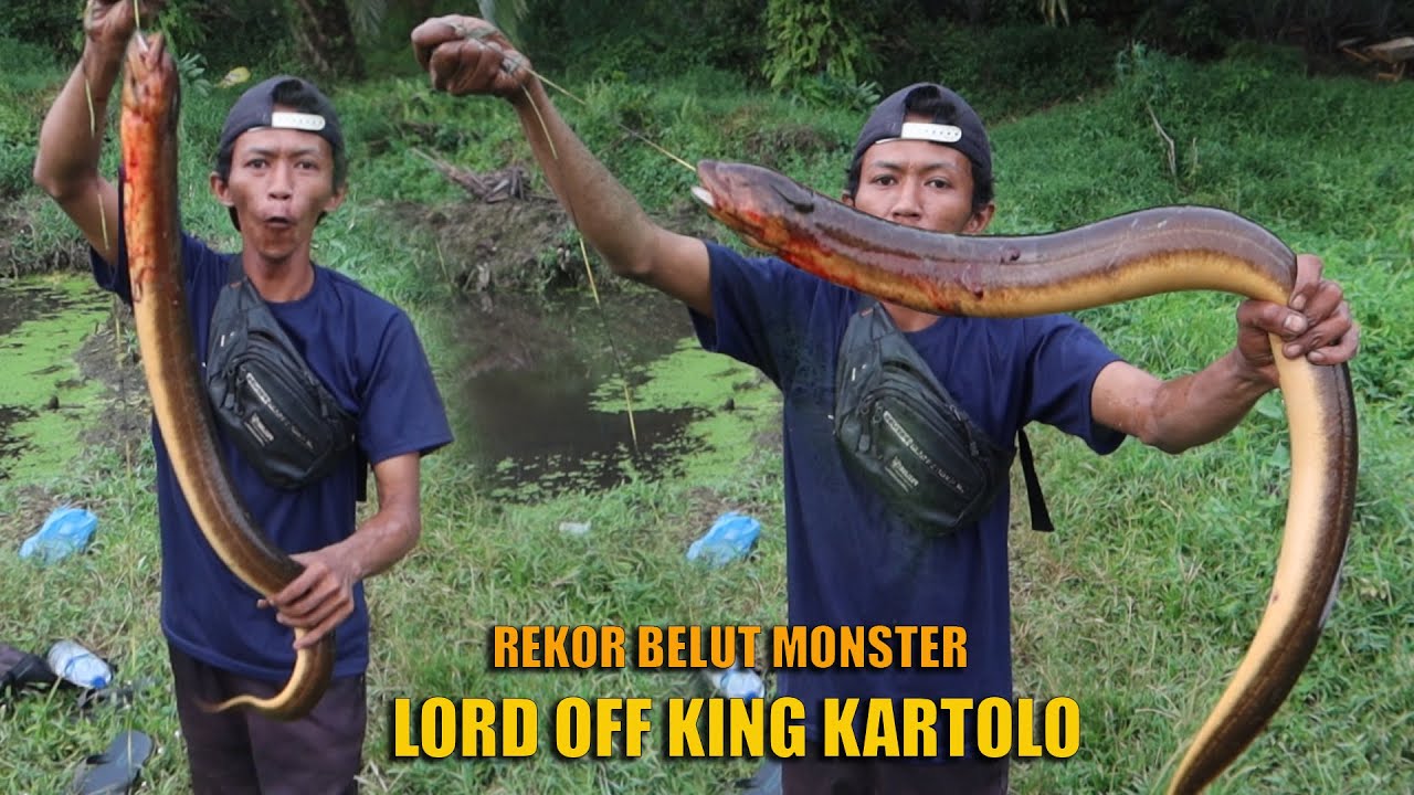 REKOR BELUT MONSTER LORD KARTOLO YANG BIKIN MELONGO