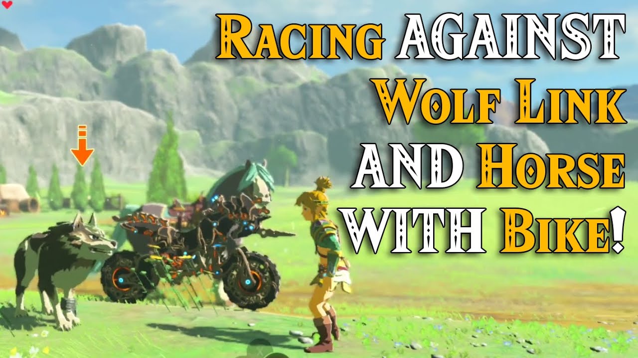Racing AGAINST Wolf Link AND Sonic Horse WITH Bike in Zelda Breath of the Wild DLC amiibo