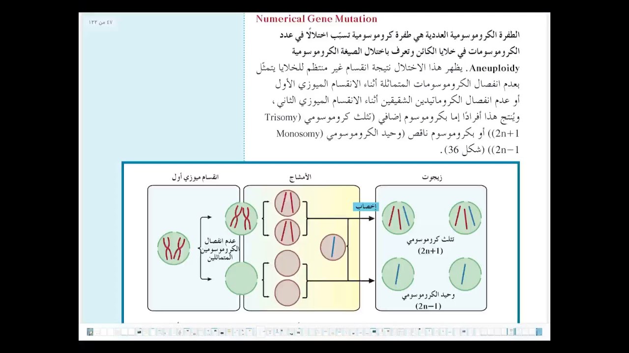 الطفرات ٢