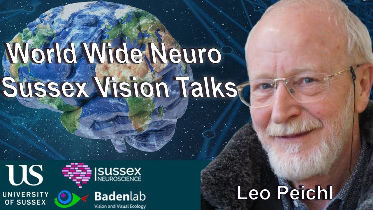 World Wide Neuro | Sussex Vision Series - 03/06/2024 - Prof. Leo Peichl