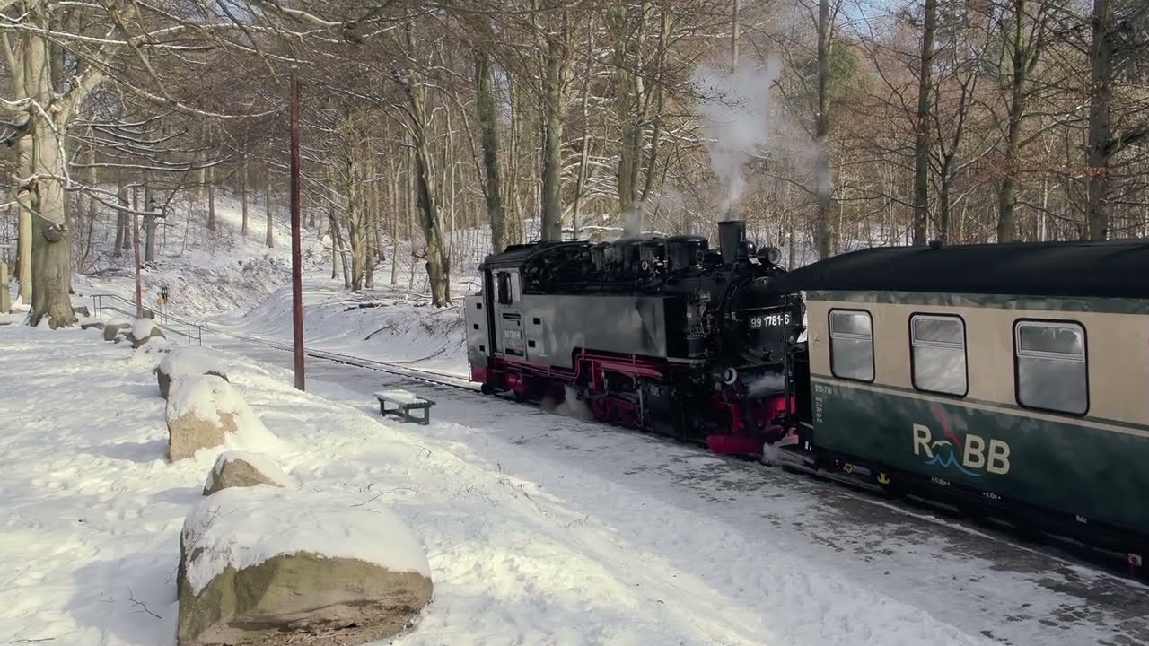 Wintermärchen auf Schmalspur: Der Rasende Roland im Februar 2026