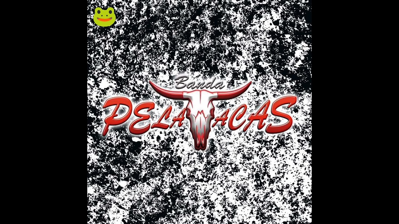 Banda Pelavacas
