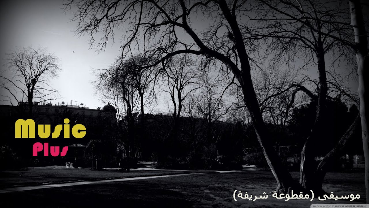 أجمل موسيقى عربية حزينة و هادئة 2020 | مقطوعة (شريفة)