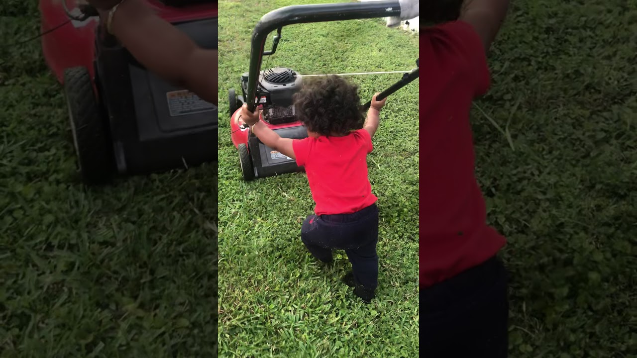 Ni&ntilde;o corta yarda