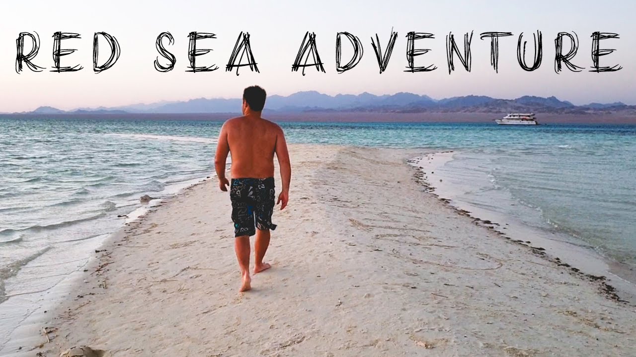 Egypt Redsea liveaboard adventure - 3 dives and sundowners on a shrinking island