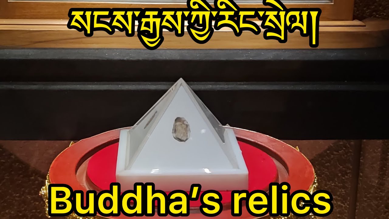 རྒྱལ་བའི་རིང་སྲེལ།Exposition of Buddha’s relics at Delhi . #ladakh #buddha #buddhism #relics #story 