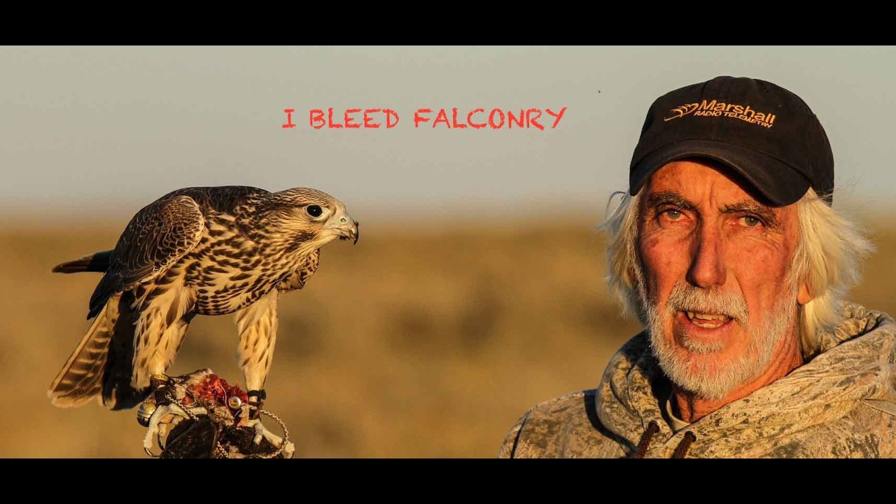 Falconry:  I Bleed Falconry  Produced by: Steve Chindgren