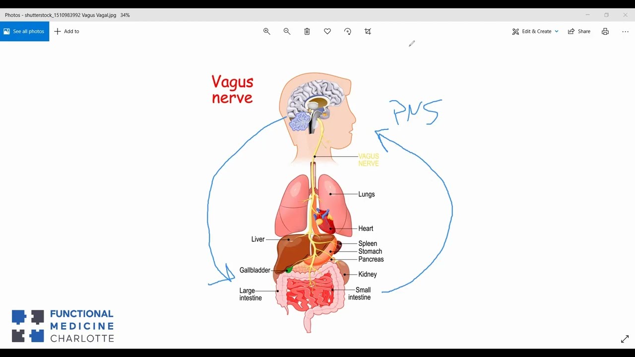 Vagus Nerve Stimulation for Depression, SIBO, Constipation, and Gut-Brain axis - non-invasive tVNS