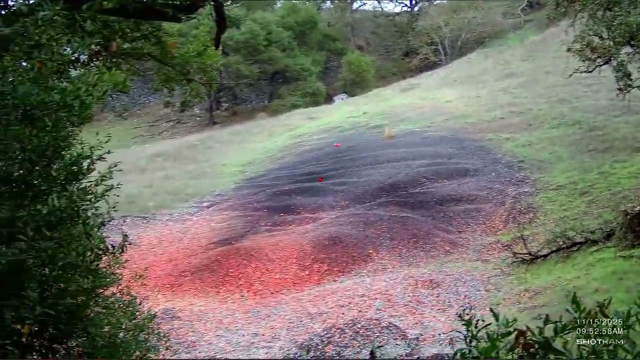11-15-2025 Sporting Clays shooting at Coyote Valley Sporting Clays by Seamus Murray