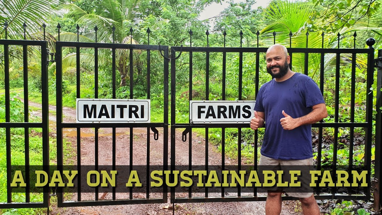 VLOG 16 | Maharashtra | Maitri Farms, Chandore | A Day on a Sustainable Farm