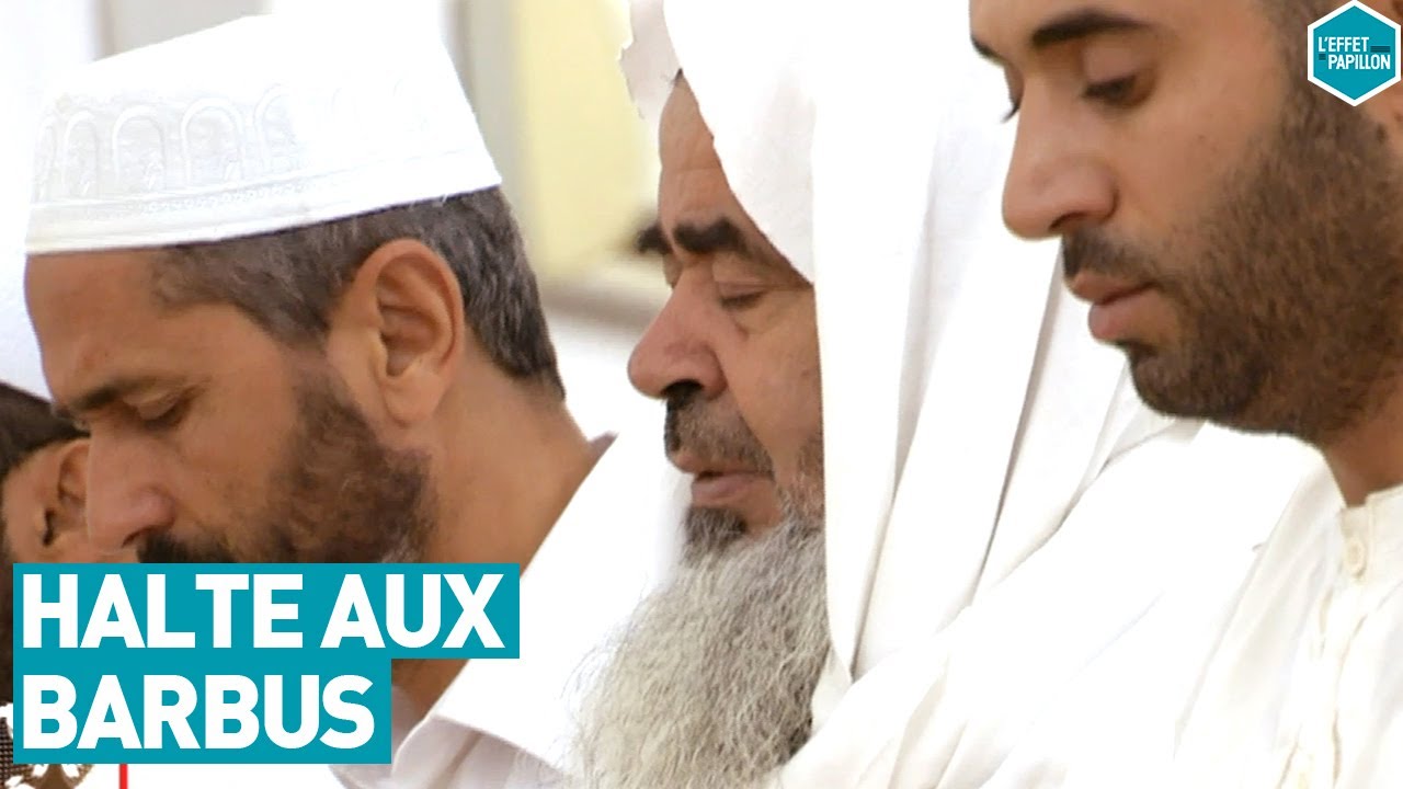 HALTE AUX BARBUS (Tunisie) - L'Effet Papillon