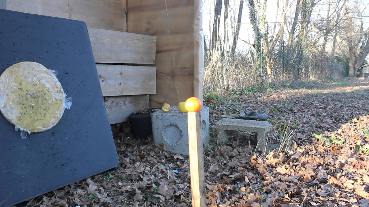 BOWTECH ASSASSIN ARC POULIE TIR SUR CIBLE