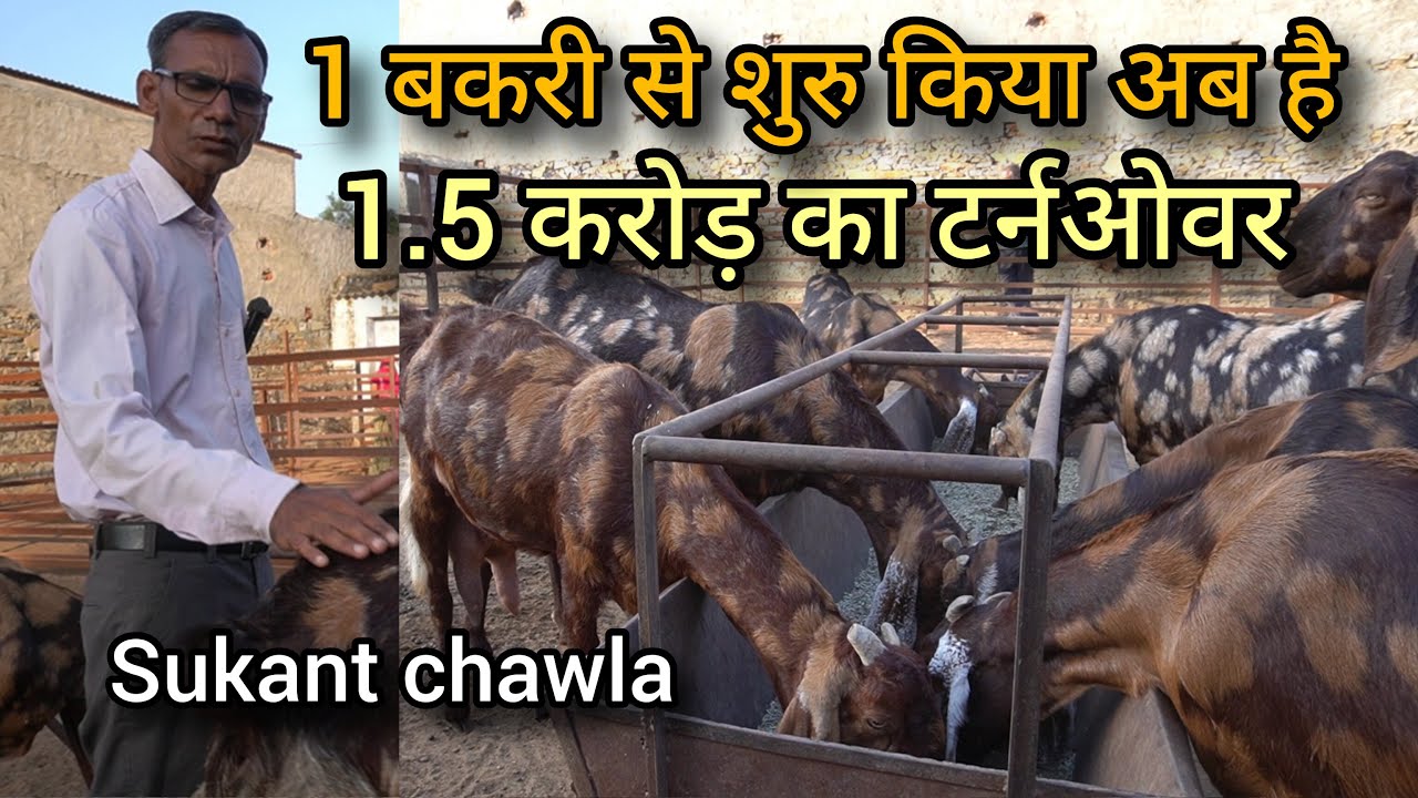 1 बकरी ने पूरा कर दिया करोड़पति बनने का सपना | goat feed management | sukant chawla | goat farming
