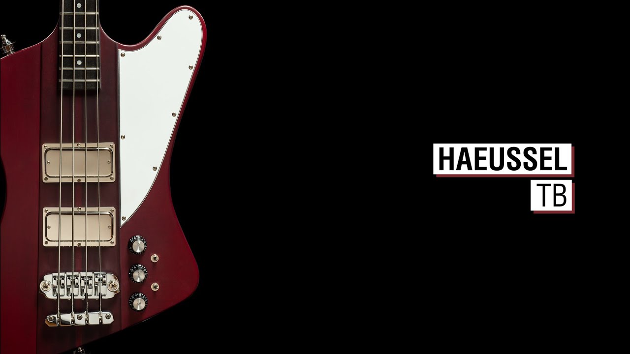 Haeussel TB - Maruszczyk Phoenix 4p 34