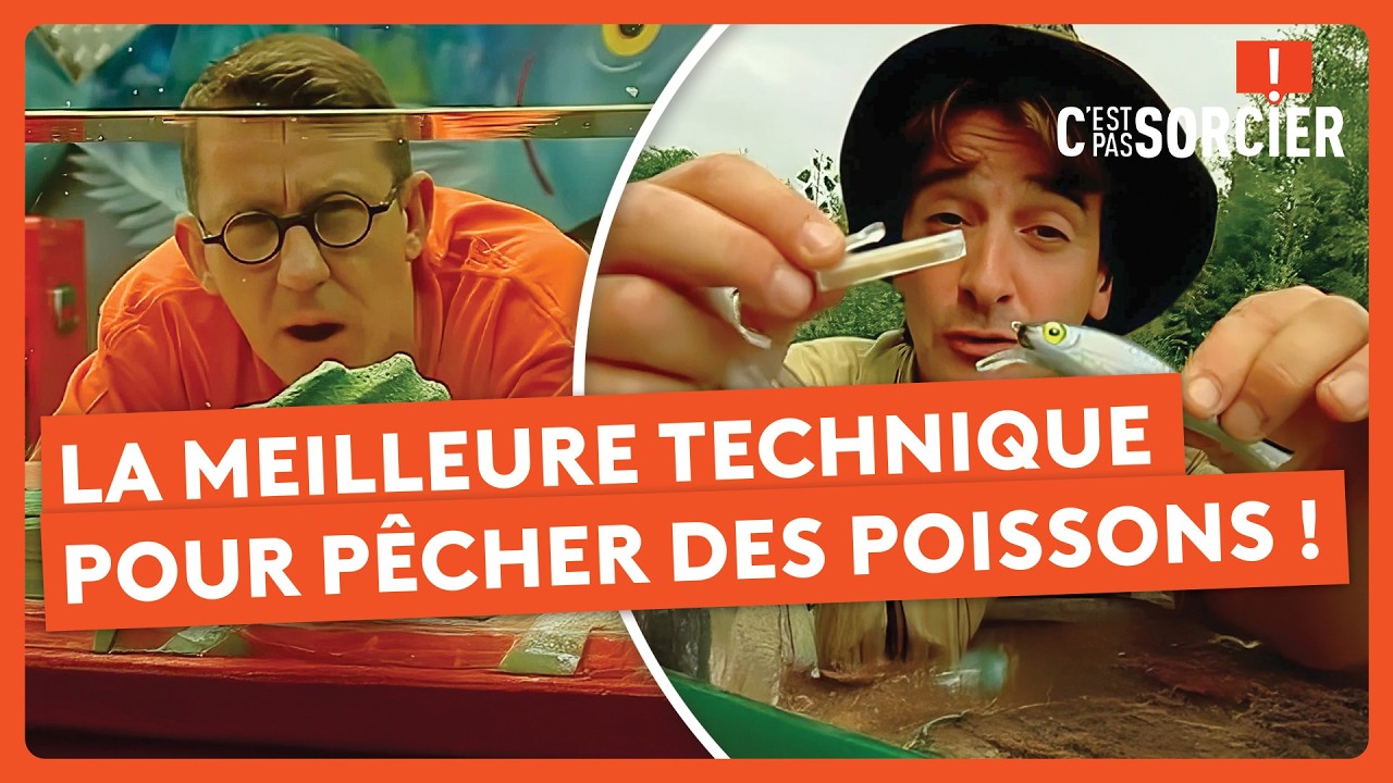 La meilleure technique pour pêcher des poissons ! - C'est pas sorcier