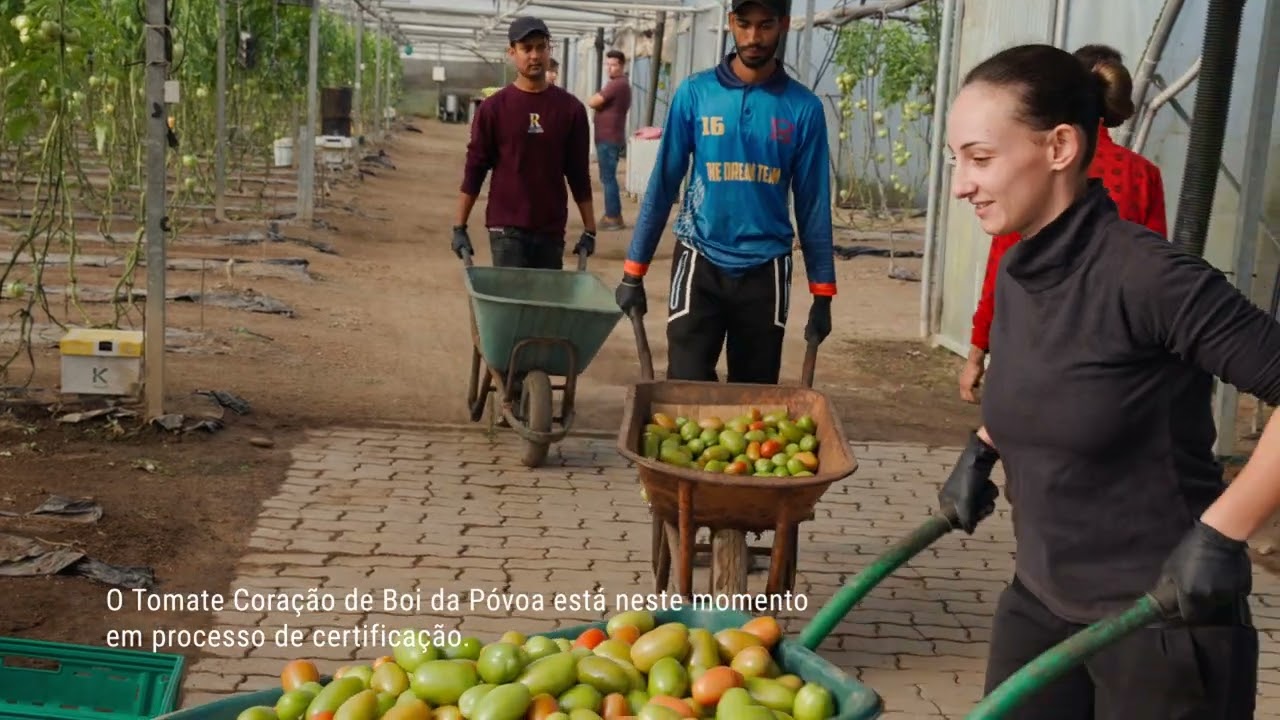 SABORES DA PÓVOA - Relatos e testemunhos