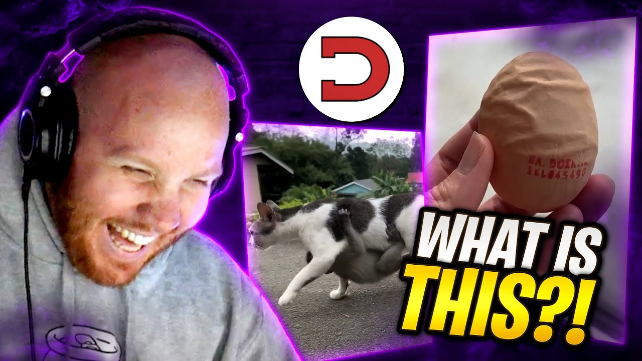 TIMTHETATMAN REACTS TO DAILY DOSE OF INTERNET