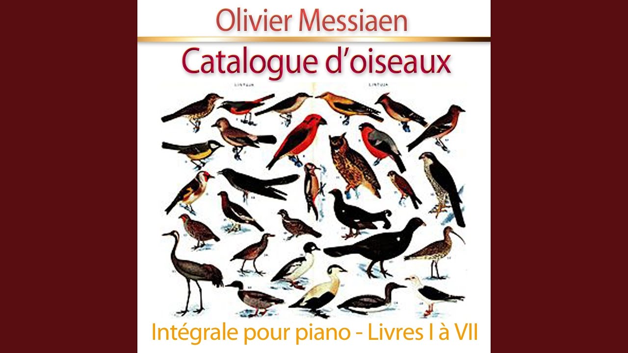 Catalogue d'oiseaux, pour piano, Livre II: 4 Le Traquet Stapazin