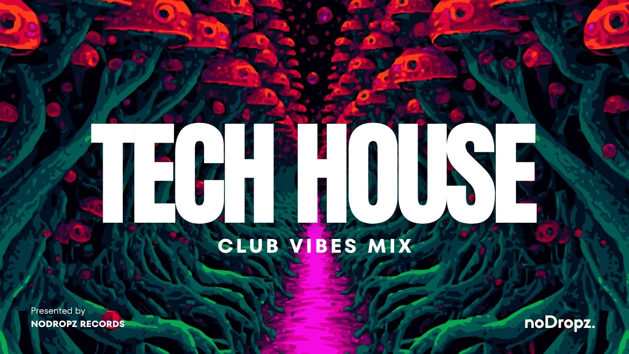 Minimal House Mix | NoDropz Express #002