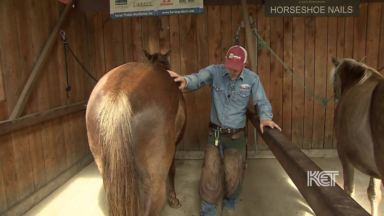 Kentucky Horseshoeing School | Kentucky Life | KET