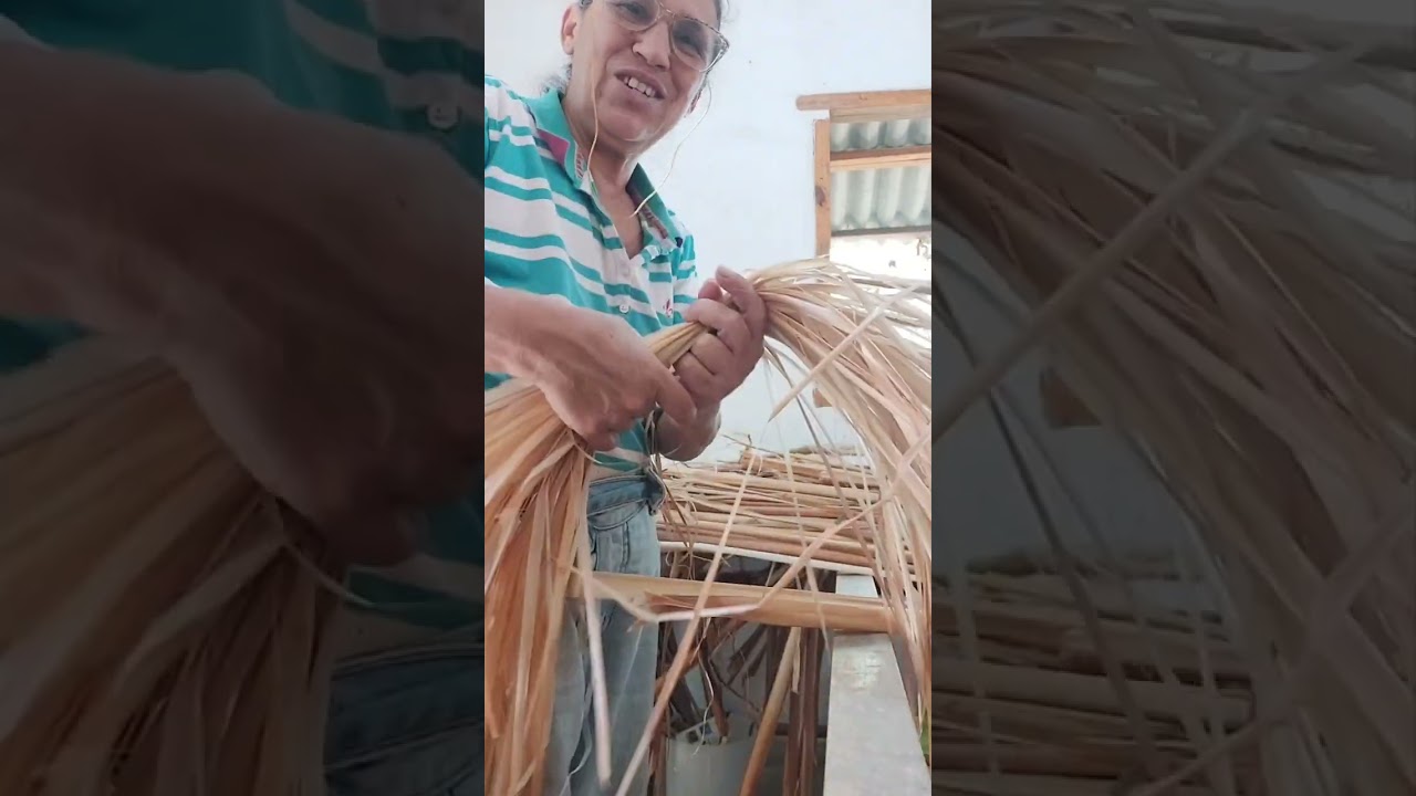 Destacando a taboa, beneficiamento da taboa e retirando material para crochê.