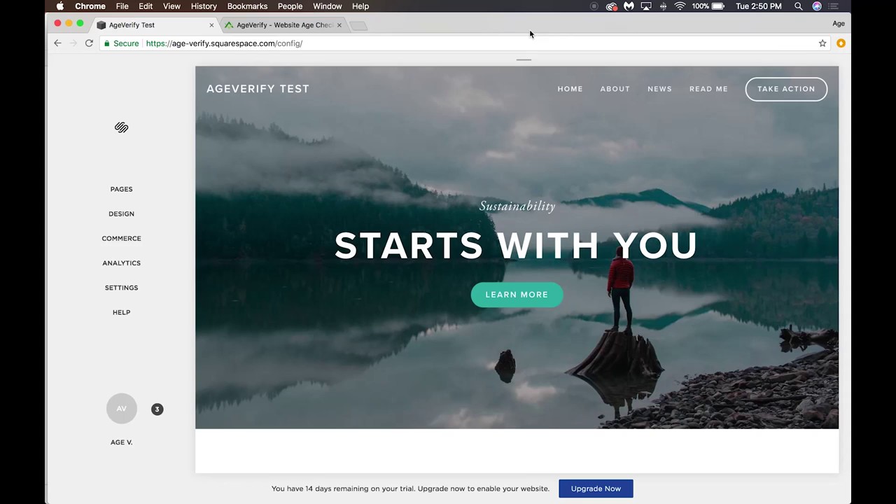 AgeVerify Installation Instructions for Squarespace Websites