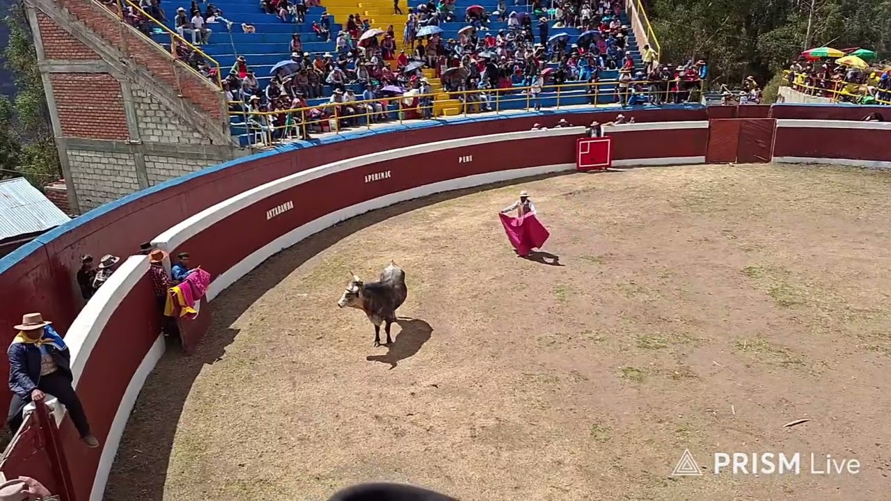 CORRIDA DE TOROS 2025 ANIVERSARIO DE ANTABAMBA