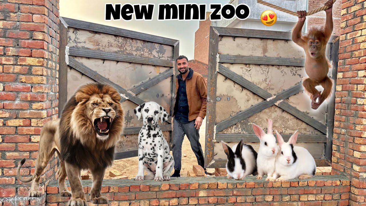 New Mini zoo Ka Gate  Lg Giya😍