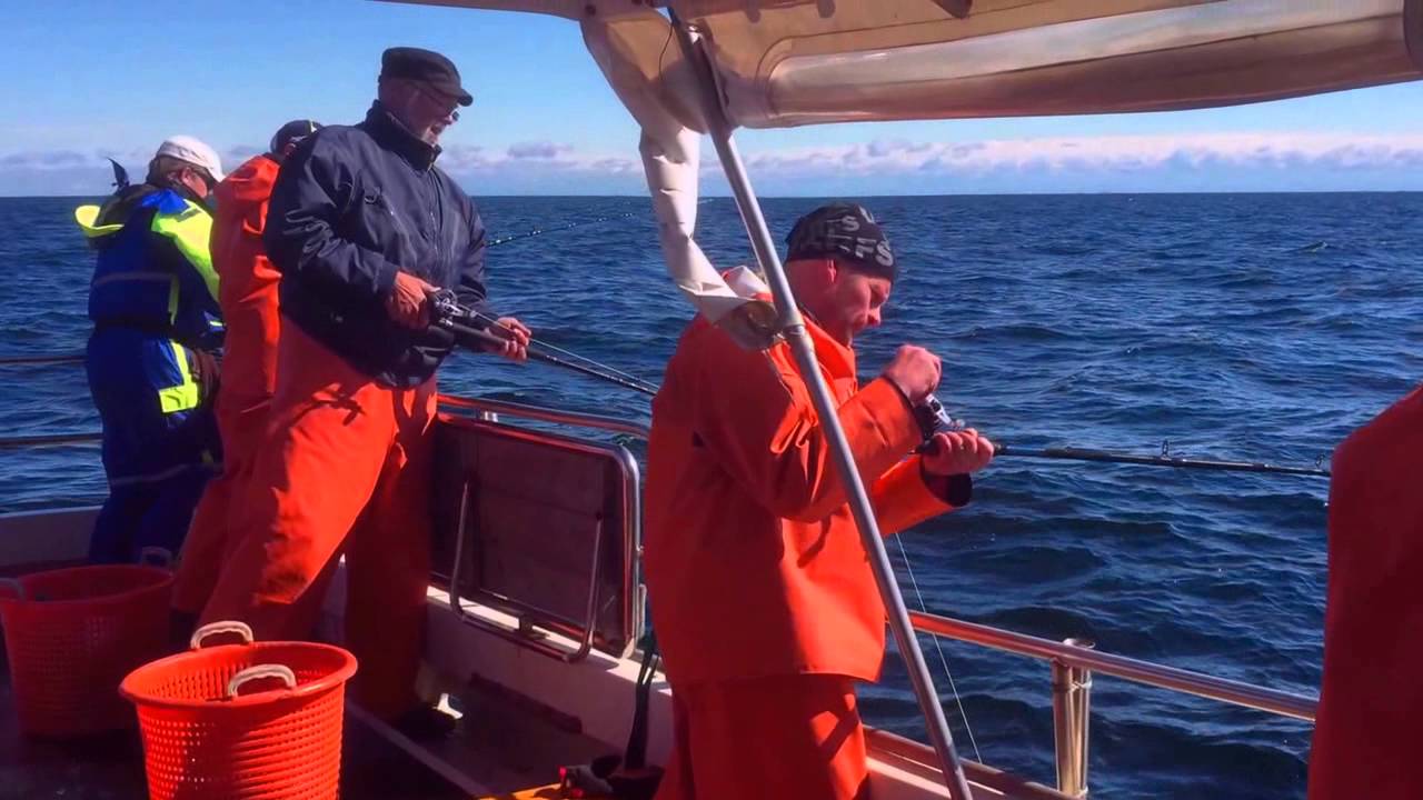 Vrakfiske med &Auml;ventyr & T&aring;ng